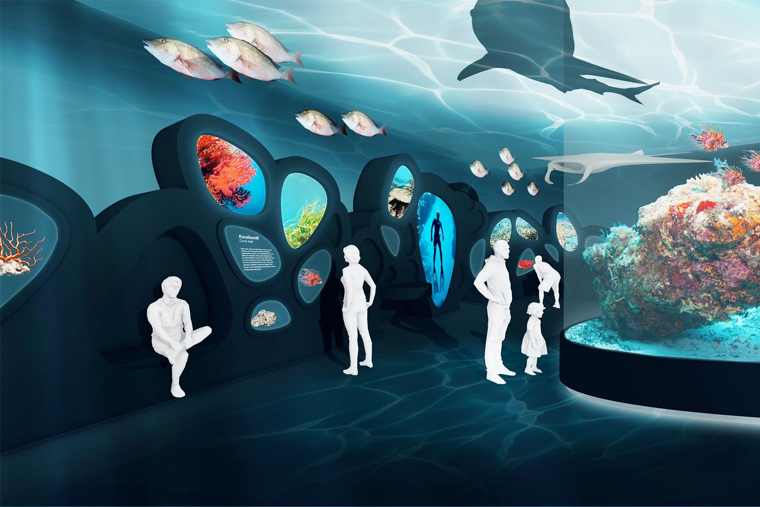 Korallenriff, Senckenberg Museum, Frankfurt