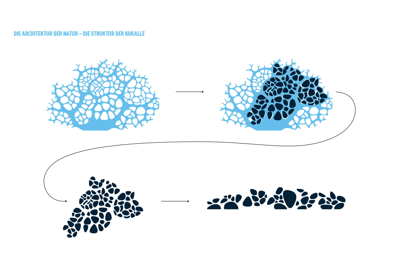 Korallenriff, Senckenberg Museum, Frankfurt
