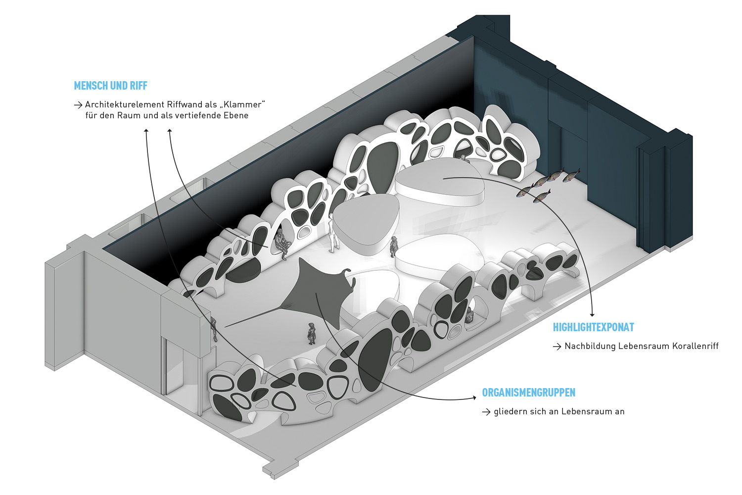 Korallenriff, Senckenberg Museum, Frankfurt
